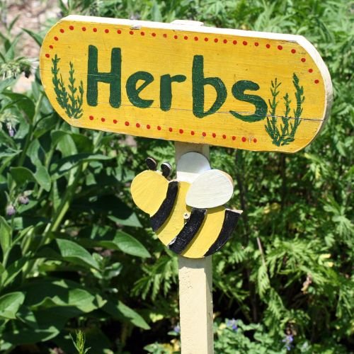 Garden Love Plants(11)