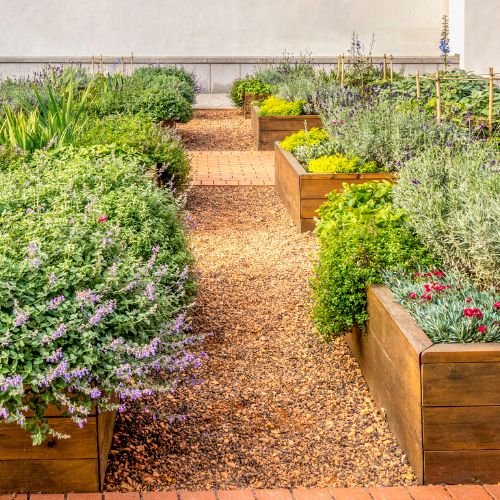 Garden Love Plants(12)